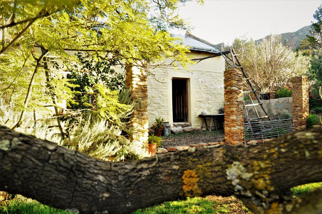 Bethany Farm Twee Riviere Экстерьер фото
