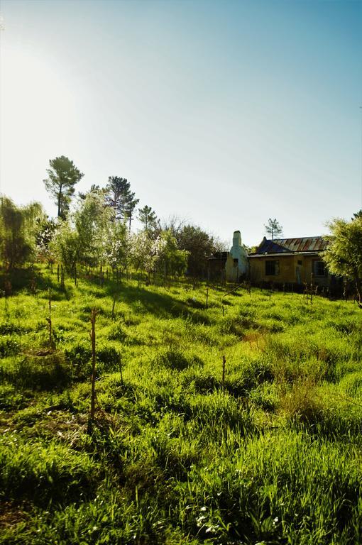 Bethany Farm Twee Riviere Экстерьер фото