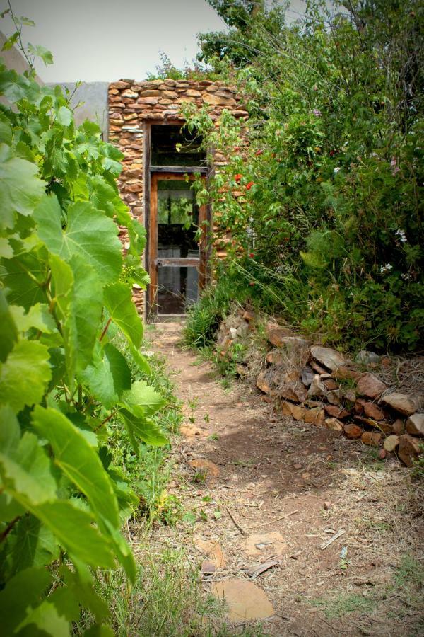 Bethany Farm Twee Riviere Экстерьер фото